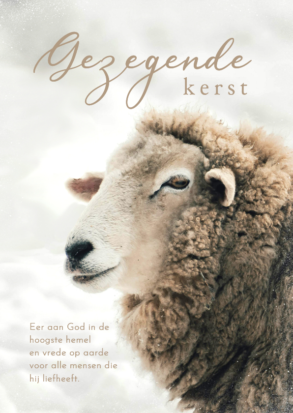 Kerstkaarten - Christelijke kerstkaart bijbeltekst gezegende dagen schaap