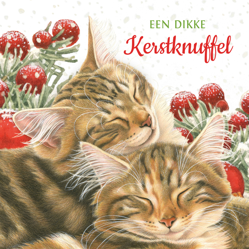 Kerstkaarten - Dikke kerstknuffel kaart met 2 lieve kittens