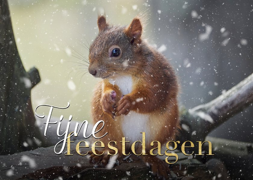 Kerstkaarten - Fotokaart kerst eekhoorntje met sneeuw