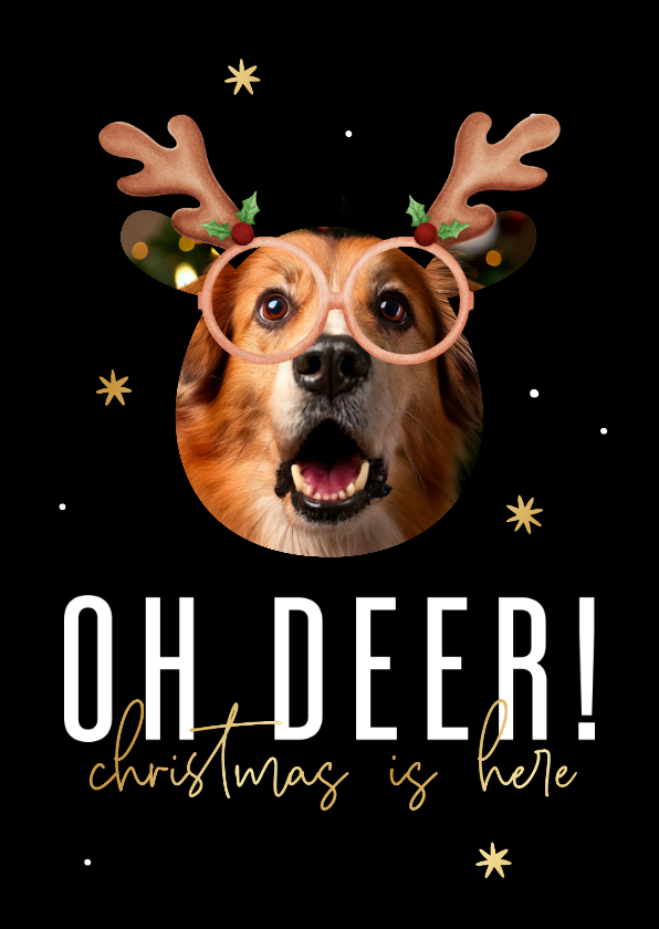 Kerstkaarten - Grappige foto kerstkaart Oh deer! met gouden sterren