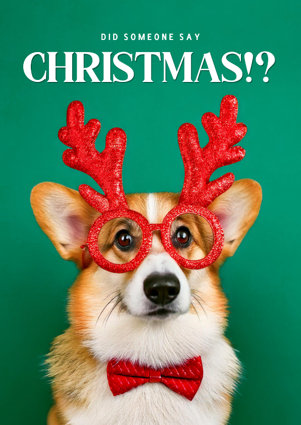 Kerstkaarten - Grappige kerstkaart met corgi did someone say christmas