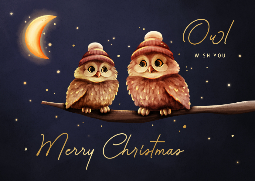 Kerstkaarten - Grappige kerstkaart owl wish you uiltjes met maan