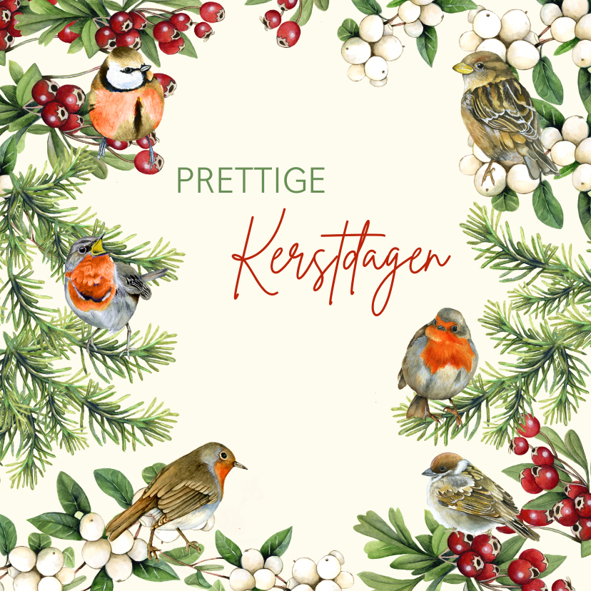 Kerst vogels takjes Kerstkaarten Kaartje2go