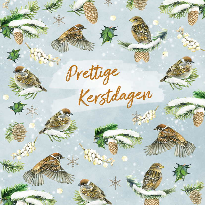 Kerstkaarten - Kerst vogeltjes in de sneeuw