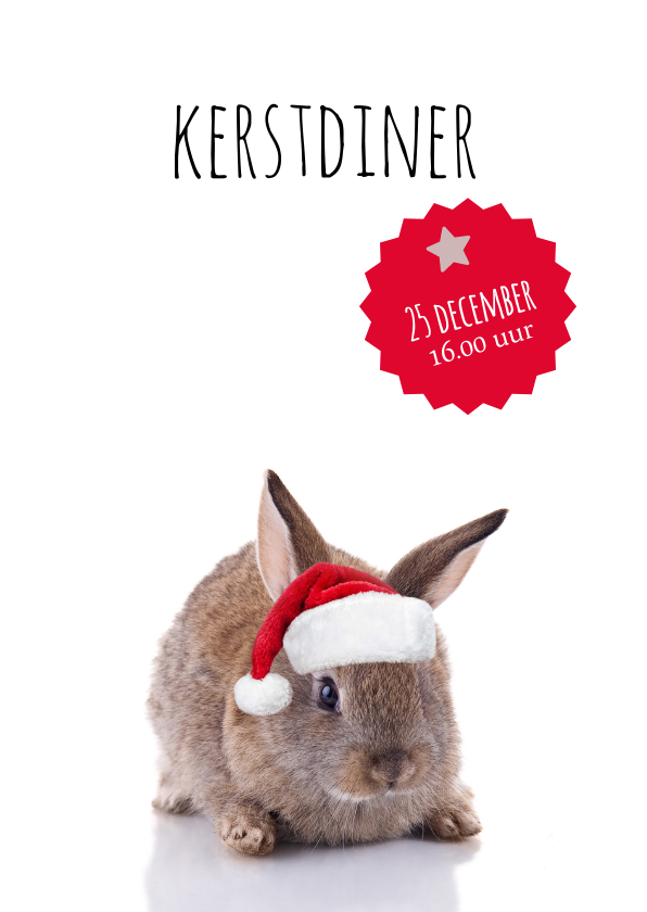 Kerstkaarten - Kerstdiner konijntje met kerstmuts