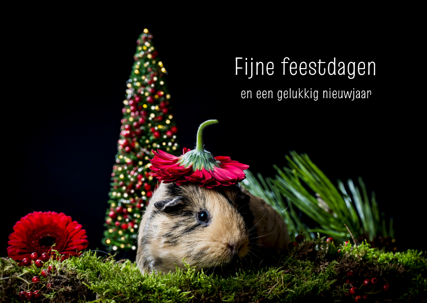 Kerstkaarten - Kerstkaart cavia met kerstboom en bloem als kerstmuts