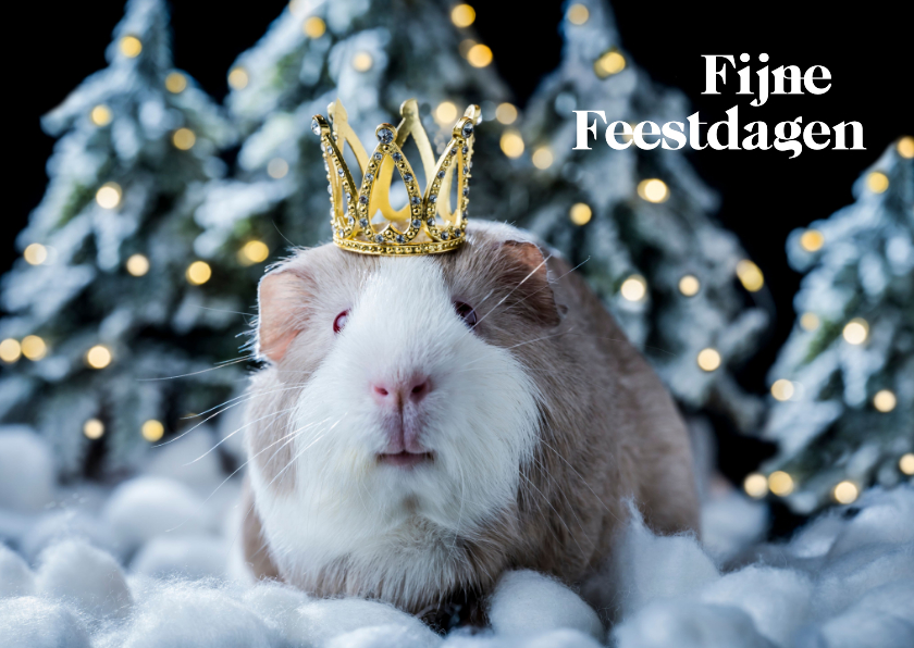 Kerstkaarten - Kerstkaart cavia met kroontje