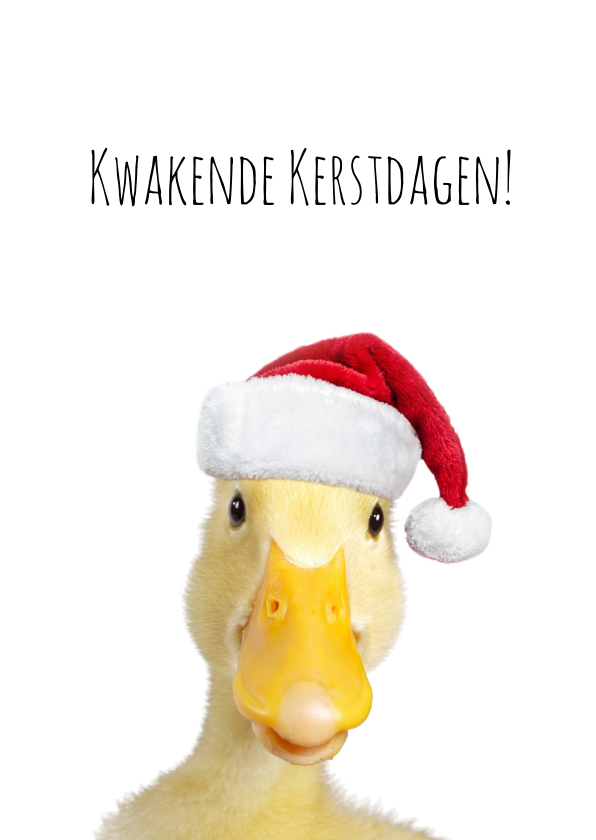 Kerstkaarten - Kerstkaart eend met kerstmuts