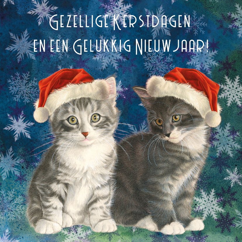 Kerstkaarten - Kerstkaart kittens in blauw