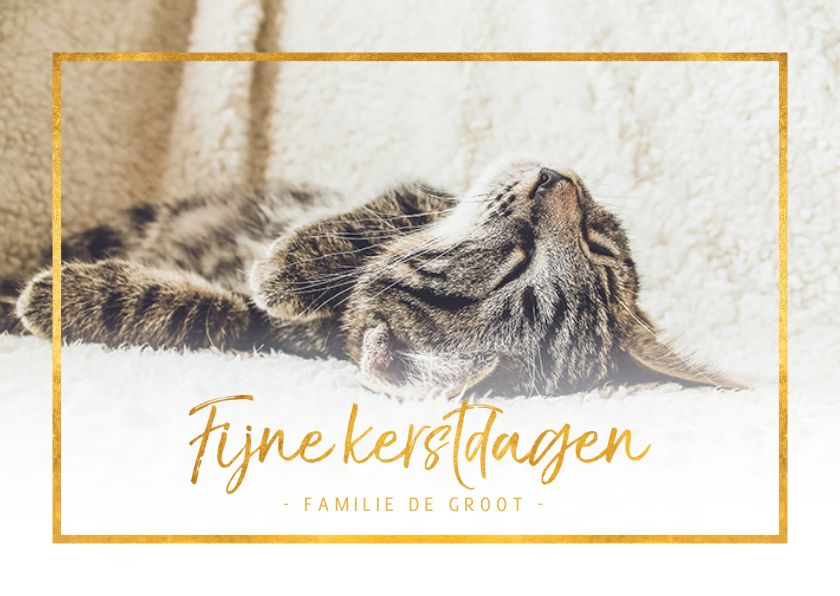 Kerstkaarten - Kerstkaart liggend fijne kerstdagen met foto en gouden kader