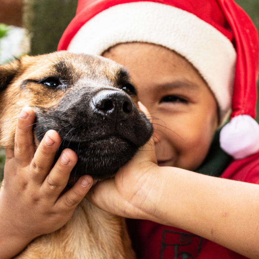 Kerstkaarten - Kerstkaart met een kind met een kerstmuts en een hondje aait