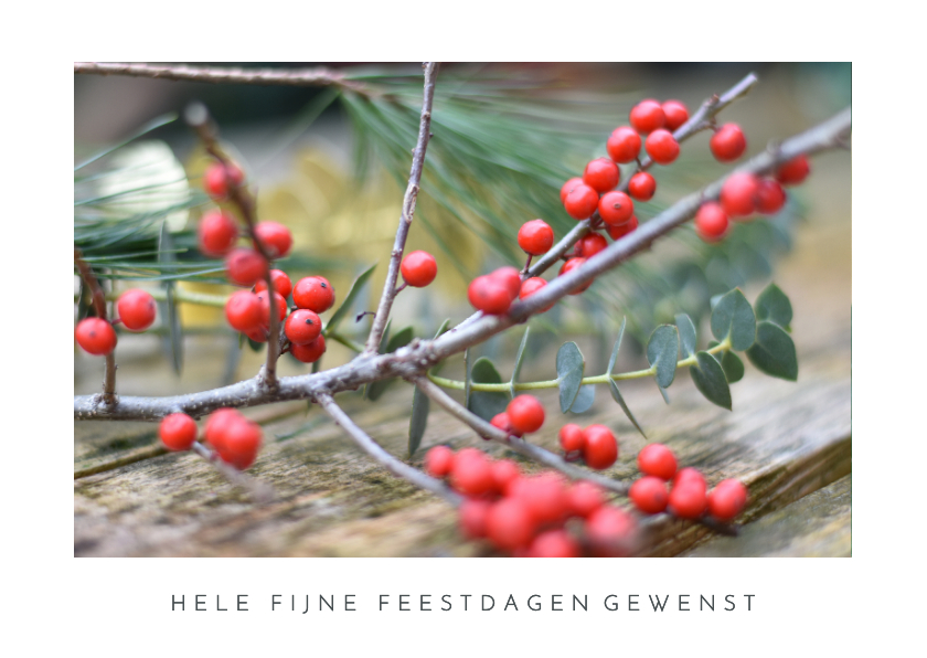 Kerstkaarten - Kerstkaart met foto van takje met rode besjes