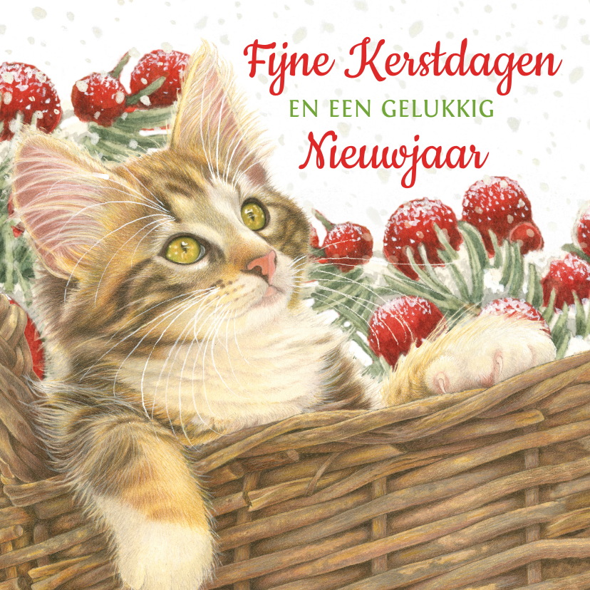 Kerstkaarten - Kerstkaart met lieve kat in kerstmand