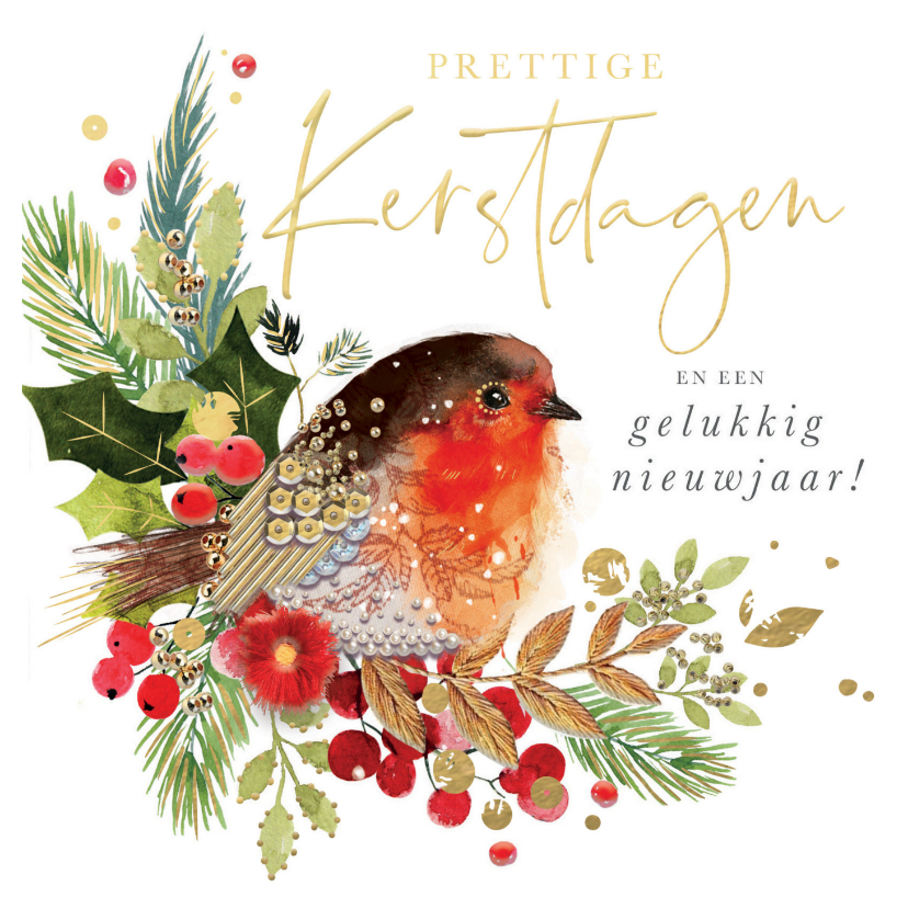 Kerstkaarten - Kerstkaart met roodborsstje takjes Robins 