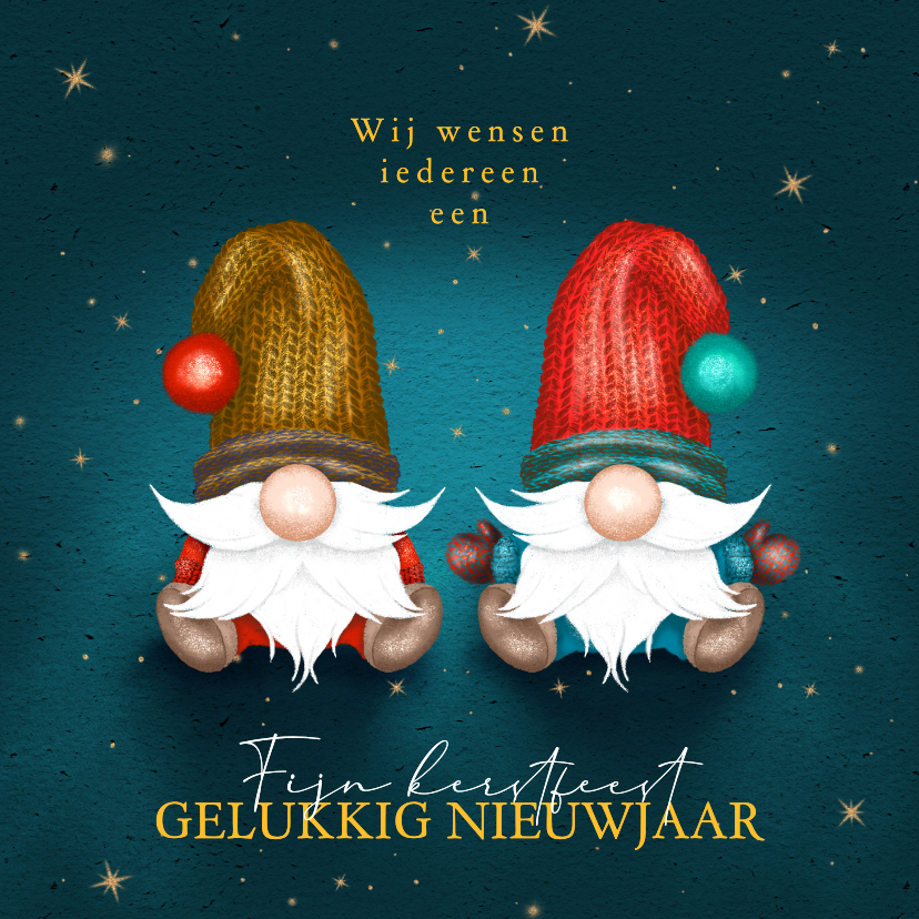 Kerstkaarten - Kerstkaart met twee kabouters