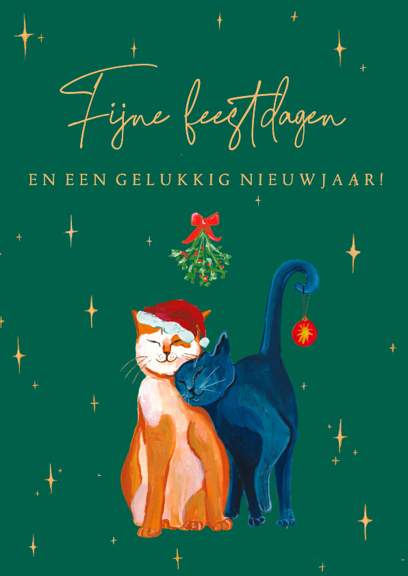 Kerstkaarten - Kerstkaart met twee poezen en sterren 