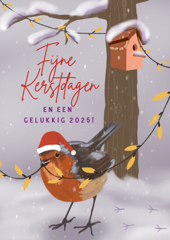 Kerstkaarten - Kerstkaart roodborstje met vogelhuisje