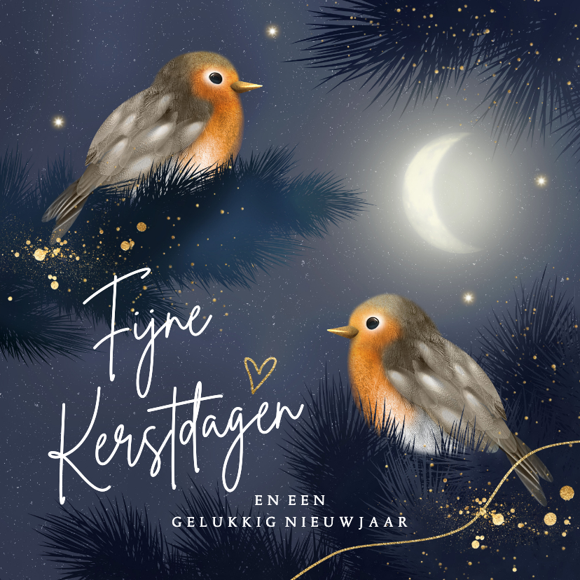 Kerstkaarten - Kerstkaart roodborstje nacht maan goud blauw