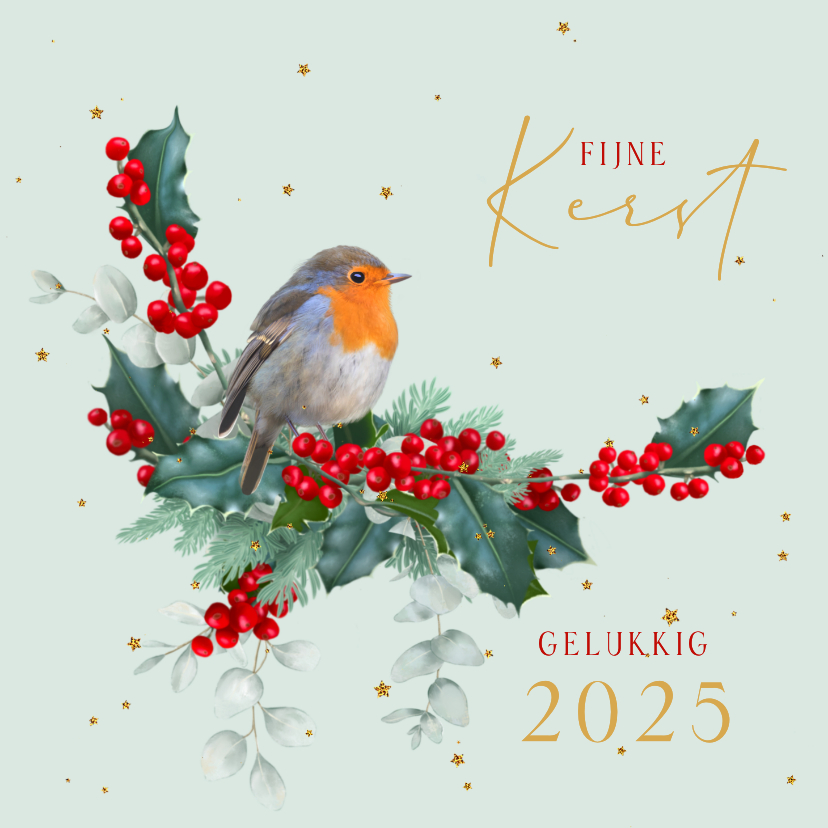 Kerstkaarten - Kerstkaart roodborstje op hulsttakken met goud