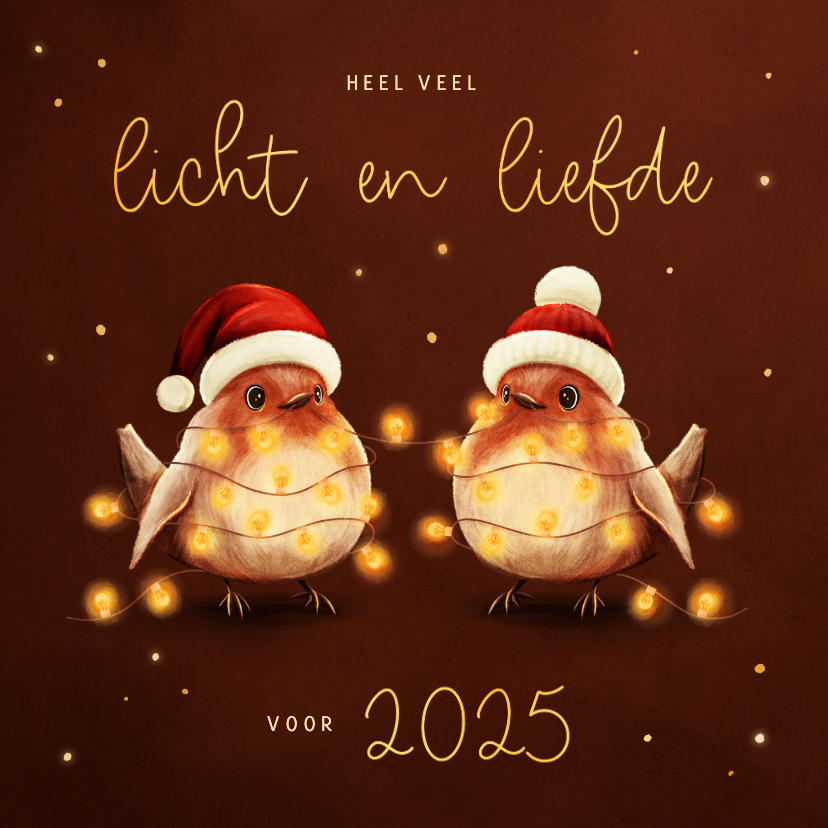 Kerstkaarten - Kerstkaart roodborstjes met lampjes licht en liefde