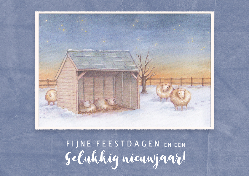 Kerstkaarten - Kerstkaart schapen in een schuurtje