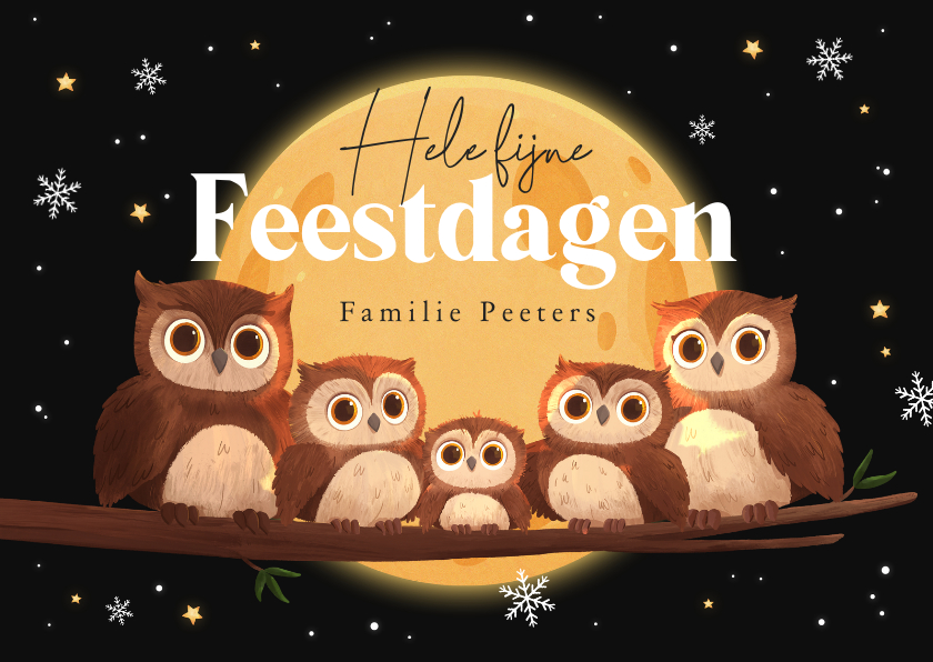 Kerstkaarten - Kerstkaart uiltjes bosdieren familie maan sterren feestdagen