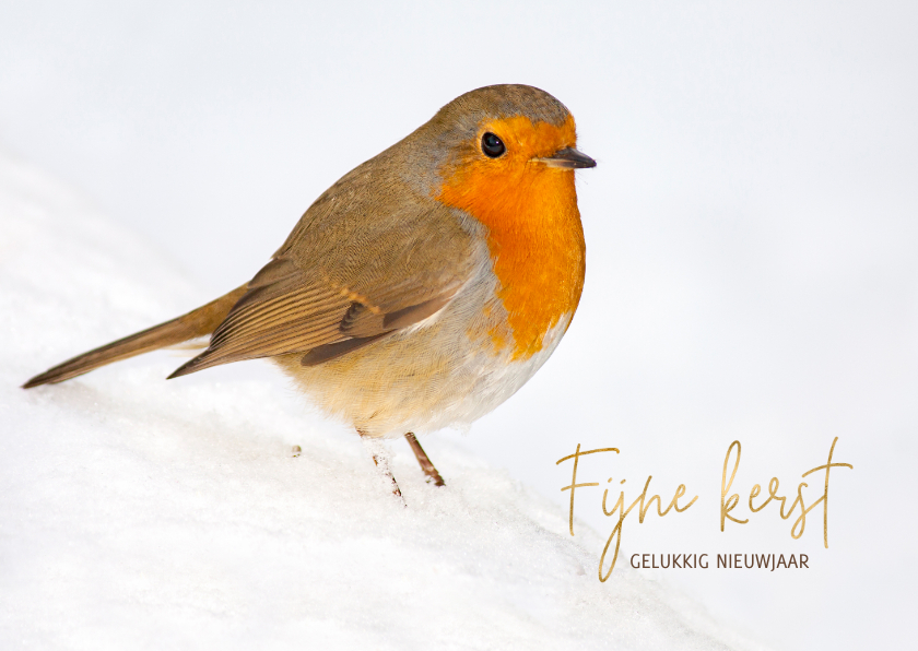 Kerstkaarten - Kerstkaart winter roodborst