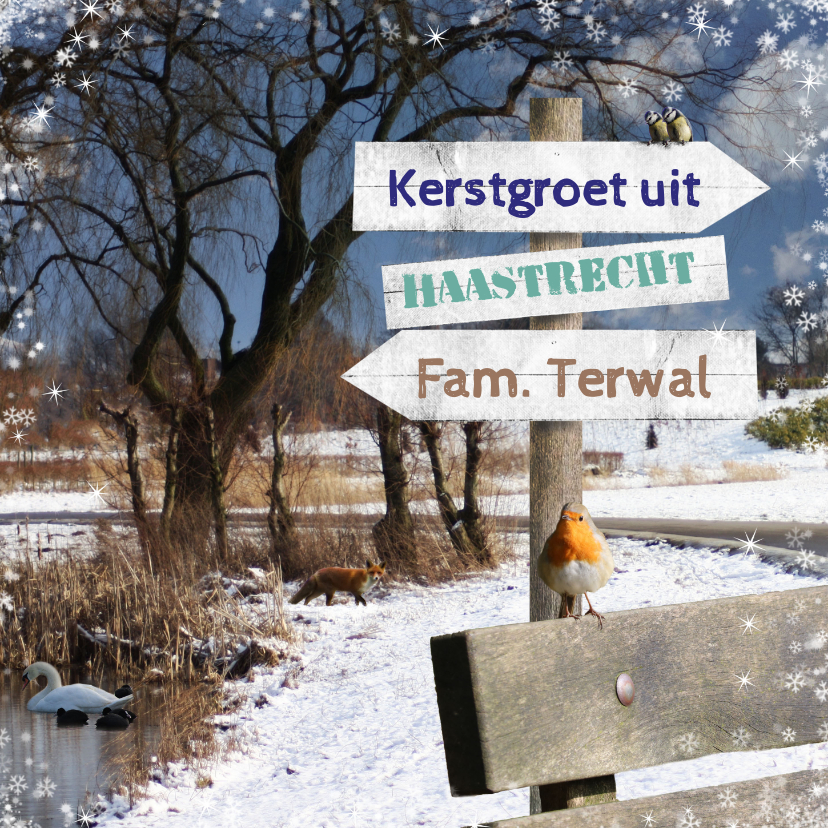 Kerstkaarten - Kerstkaart winters park