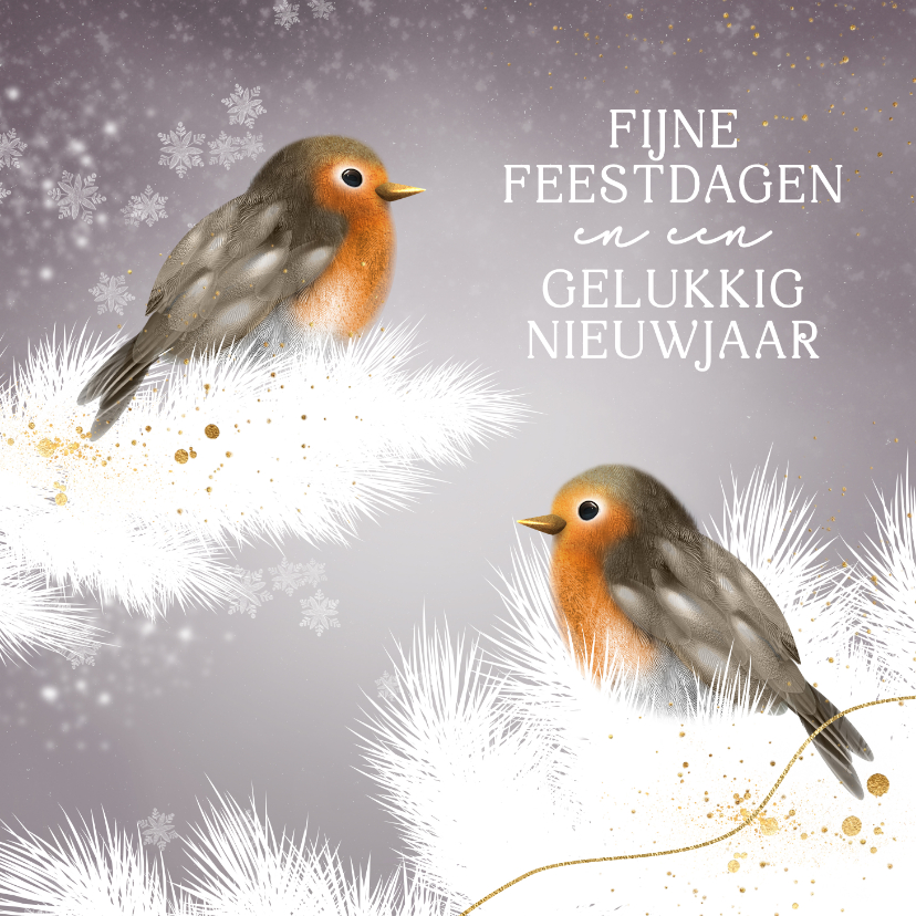 Kerstkaarten - Lief kerstkaartje roodborstjes winter