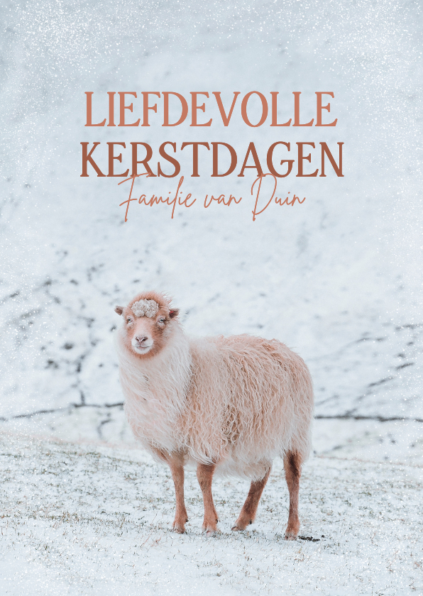 Kerstkaarten - Liefdevolle kerstkaart met een schaap