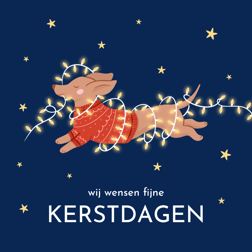 Kerstkaarten - Lieve blauwe kerstkaartjes met teckel lichtjes en sterren