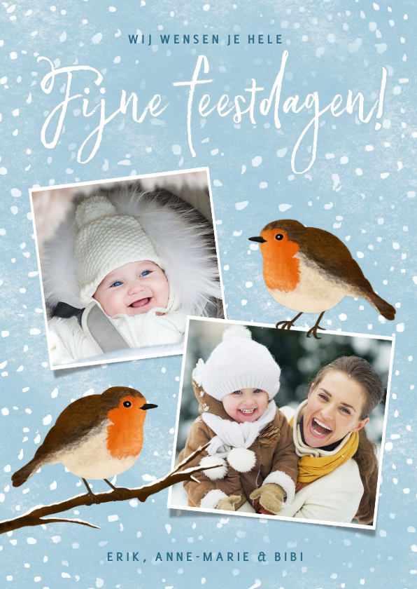 Kerstkaarten - Moderne winterse kerstkaart met roodborstjes in de sneeuw