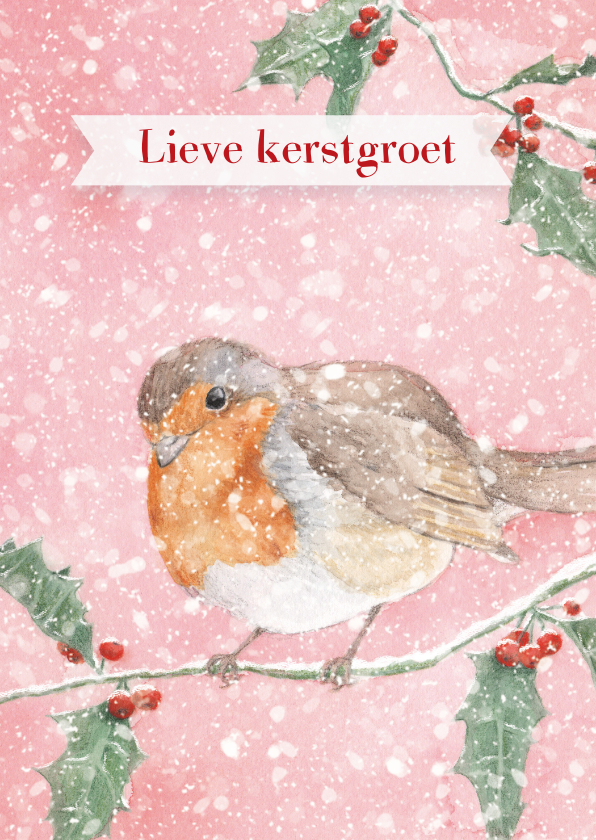 Kerstkaarten - Roodborstjes hulsttak