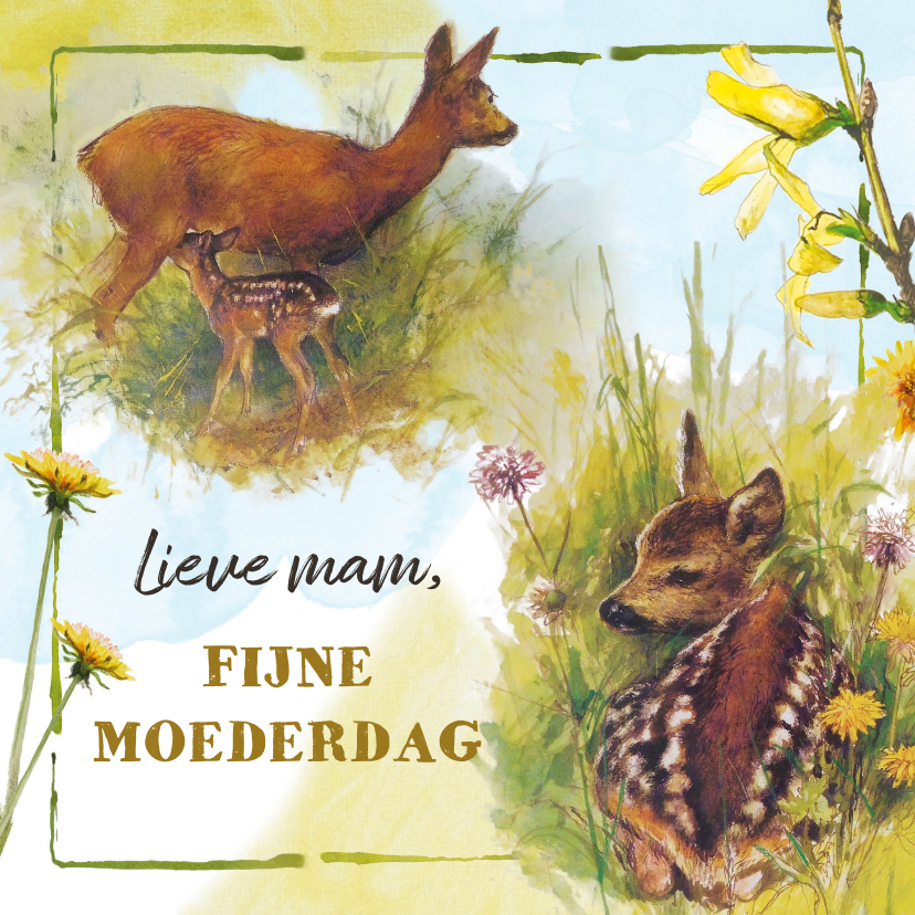 Moederdag kaarten - Moederdagkaart met lief hert en haar kalfje