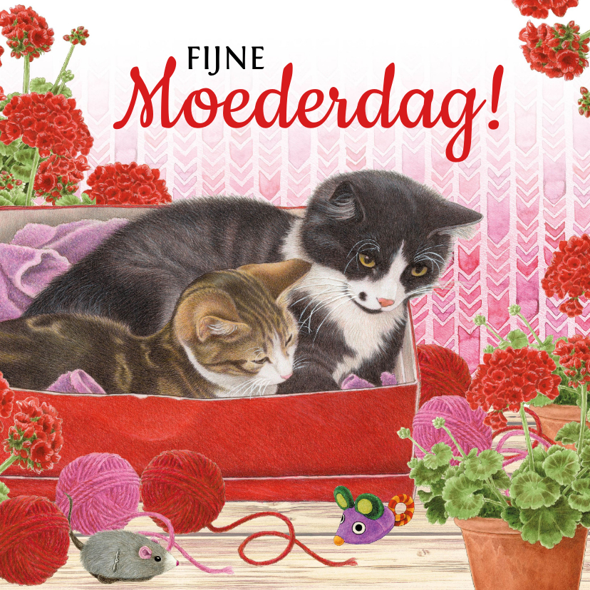 Moederdag kaarten - Moederdagkaart met moederpoes en kitten in schoenendoos