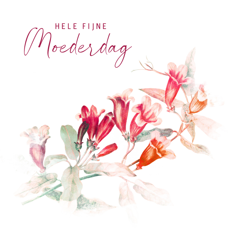 Moederdag kaarten - Moederdagkaart trompetbloemen in bloei