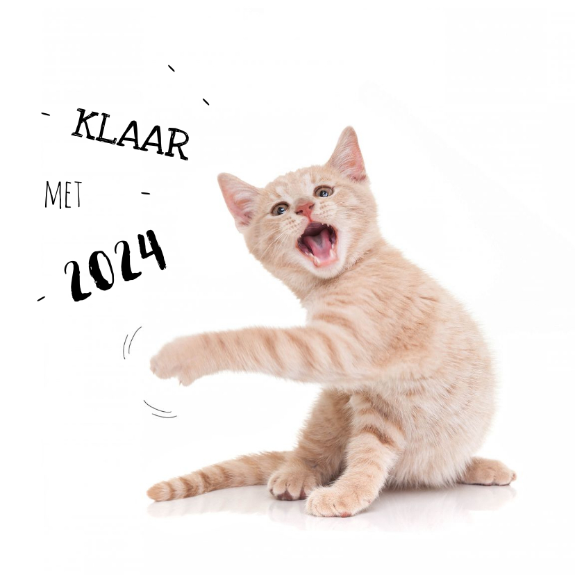 Nieuwjaarskaarten - Nieuwjaarskaart kat kitten klaar met 2024