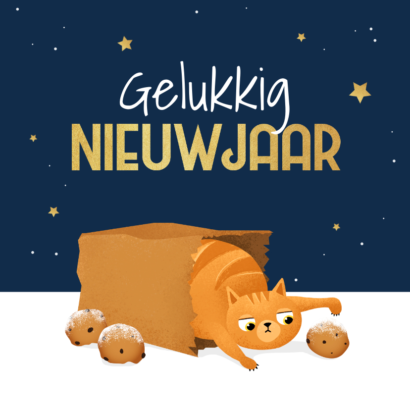 Nieuwjaarskaarten - Nieuwjaarskaart kat poes sterren oliebollen illustratie