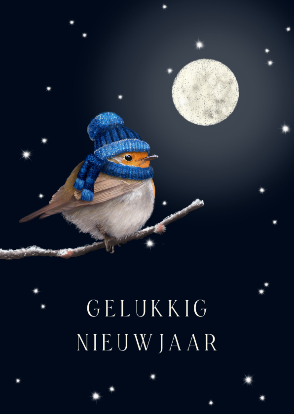 Nieuwjaarskaarten - Nieuwjaarskaart roodborst volle maan