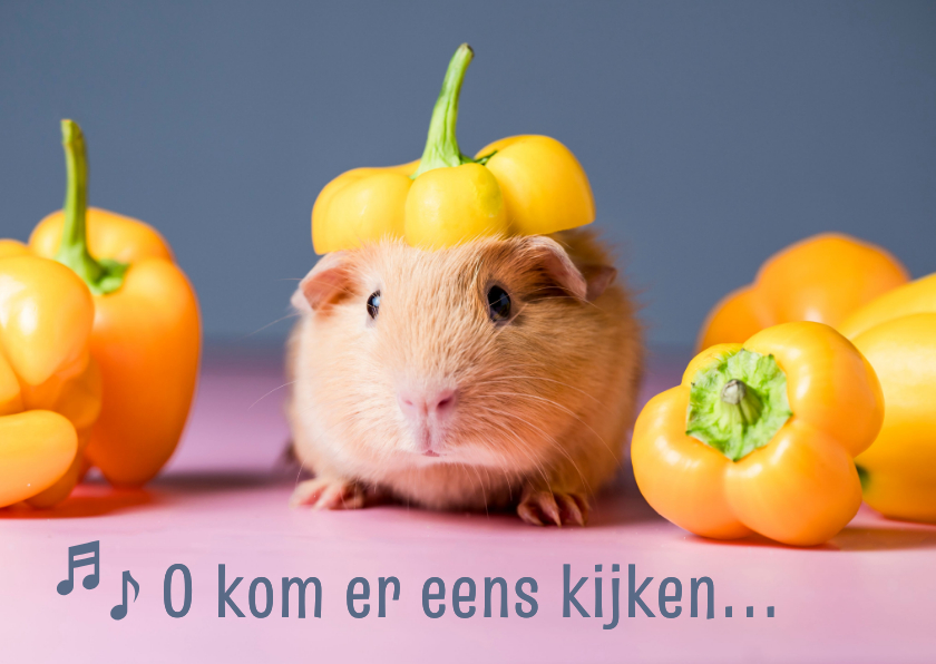 Sinterklaaskaarten - Sinterklaaskaart cavia met pietenmuts van paprika