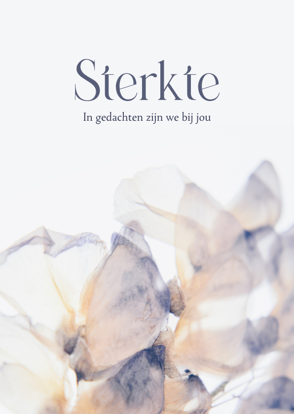 Sterkte kaarten - Sterkte kaart met stijlvolle droogbloemen