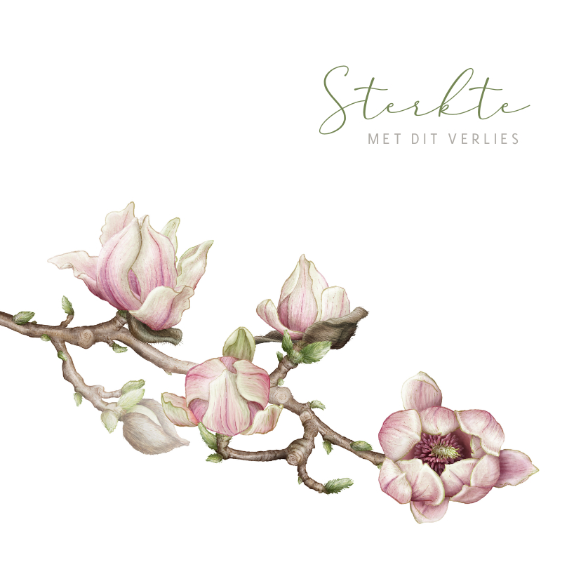 Sterkte kaarten - Sterkte medeleven kaart magnolia