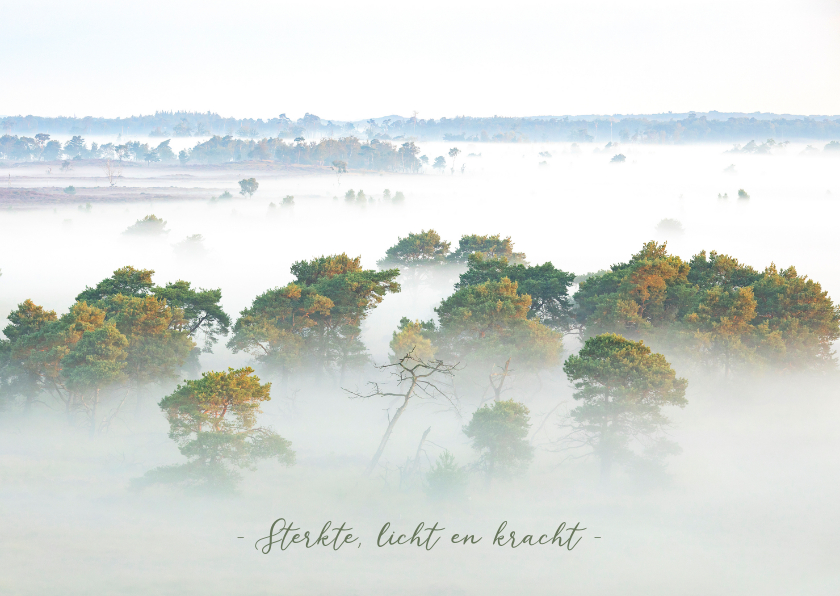 Sterkte kaarten - Sterktekaart bomen in de mist