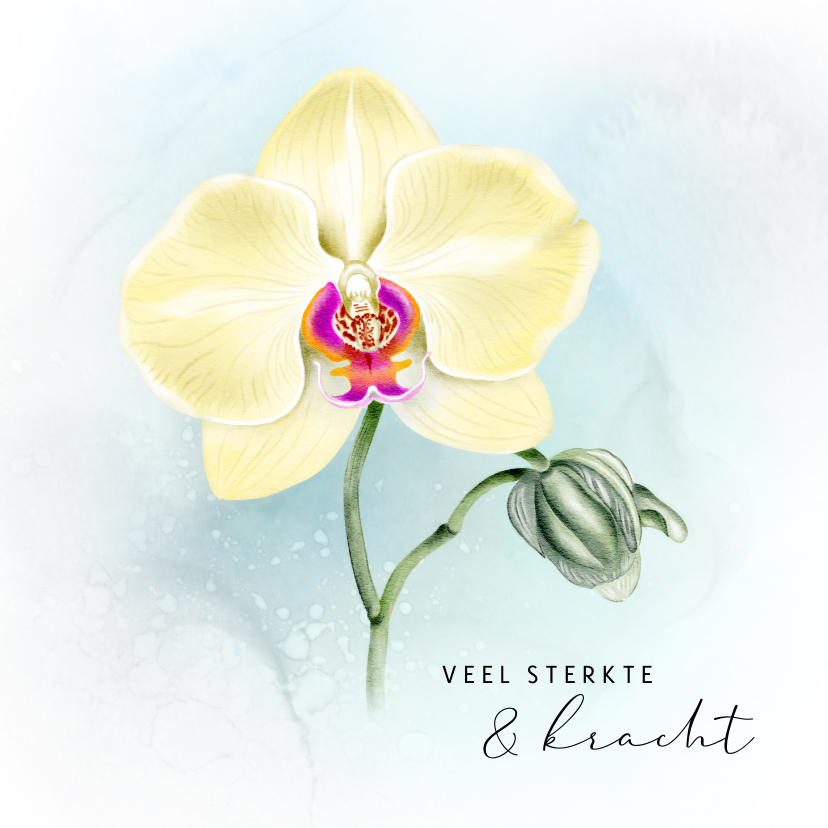 Sterkte kaarten - Sterktekaart met Orchidee