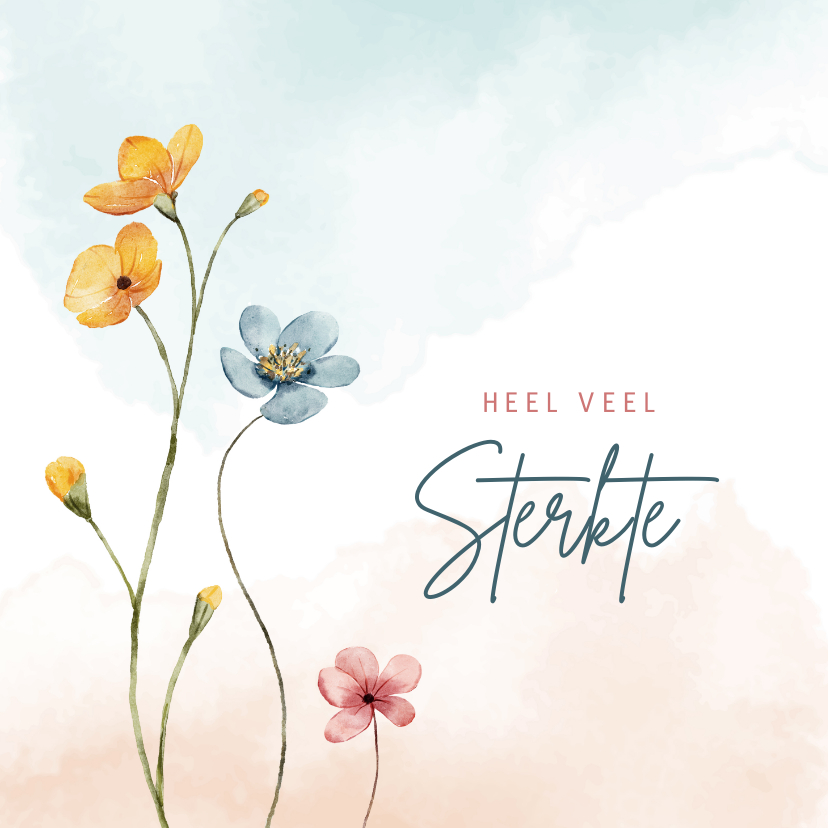 Sterkte kaarten - Sterktekaart met veldbloemen