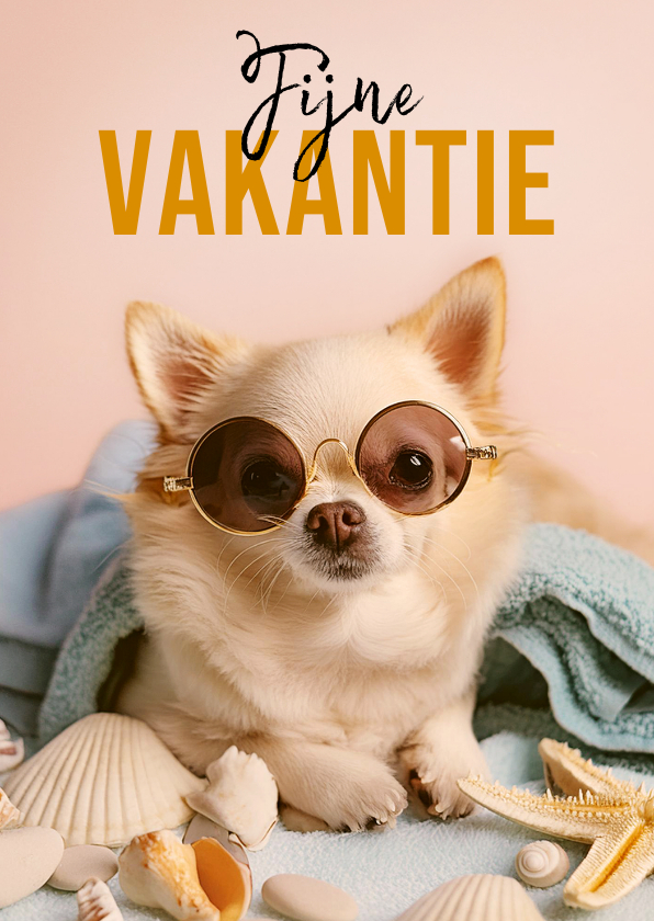 Vakantiekaarten - Grappige vakantiekaart hond zonnebril schelp fijne vakantie