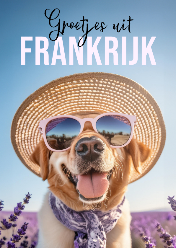 Vakantiekaarten - Grappige wenskaart 'Groetjes uit Frankrijk' hond zonnebril