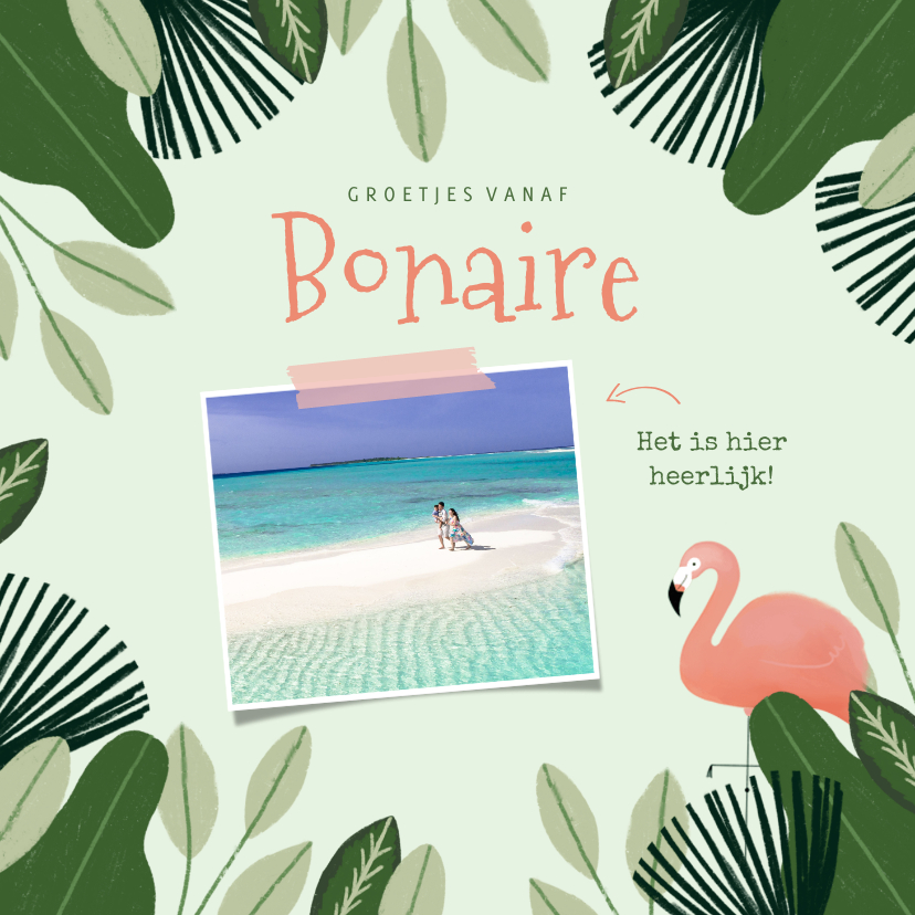 Vakantiekaarten - Tropische vakantiekaart Bonaire met jungle kader en flamingo