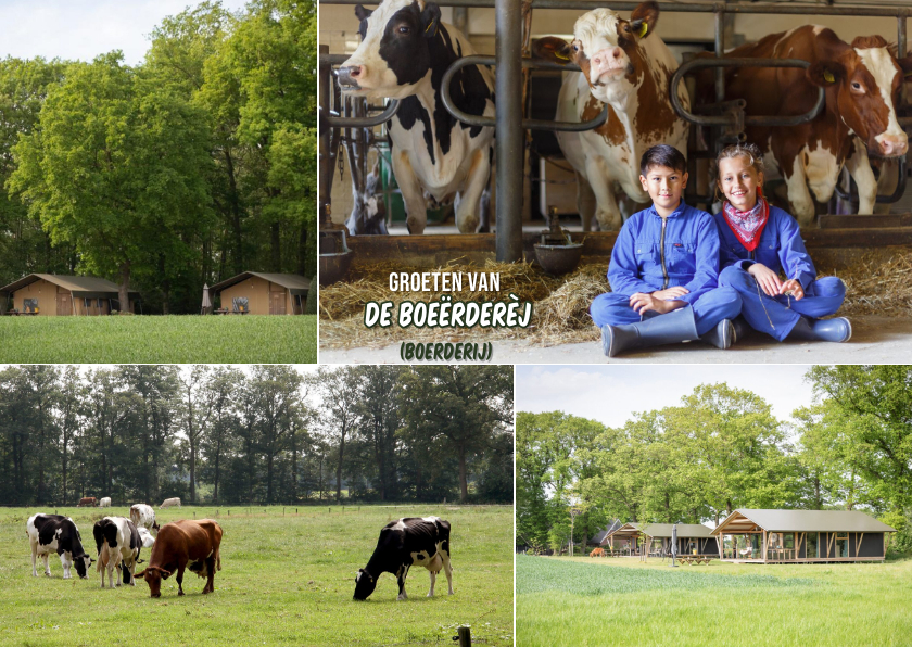 Vakantiekaarten - Vakantiekaart groeten van de boerderij