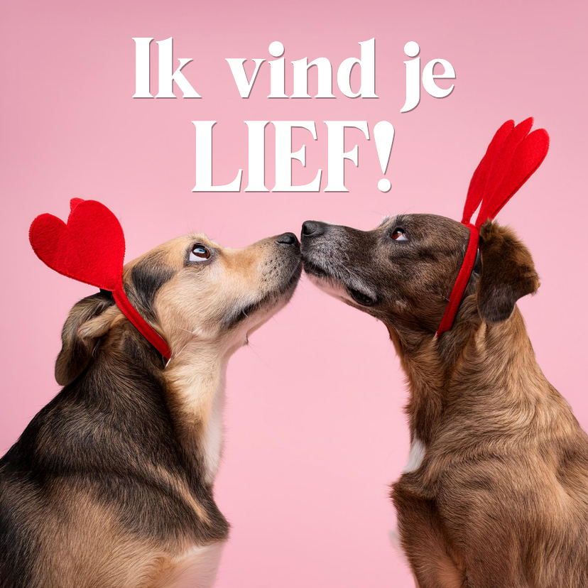 Valentijnskaarten - Grappige valentijnskaart met hondjes ik vind je lief